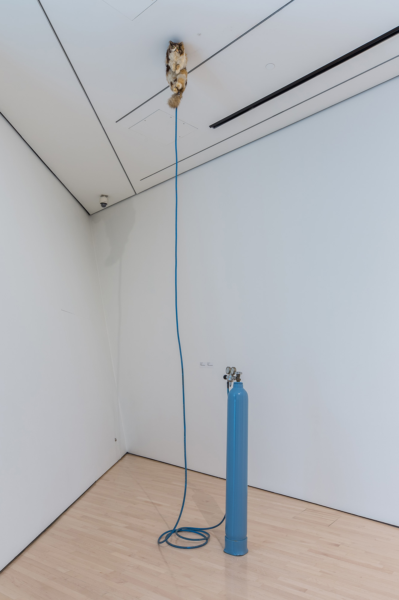 L to R: Ugo Rondinone, <i>​Clockwork for Oracles II</i>​, 2008, courtesy the artist and Gladstone Gallery, New York and Brussels; Jonathan Monk, ​<i>Second Hand Daily Exchange</i>​, 2006, courtesy the artist and Lisson Gallery, New York and London; Wolf Vostell, ​<i>Betonbuch​ (Concrete Book)</i>, 1971, University of Chicago Library, Special Collections Research Center; installation view at the MSU Broad, 2017. Photo: MSU Broad