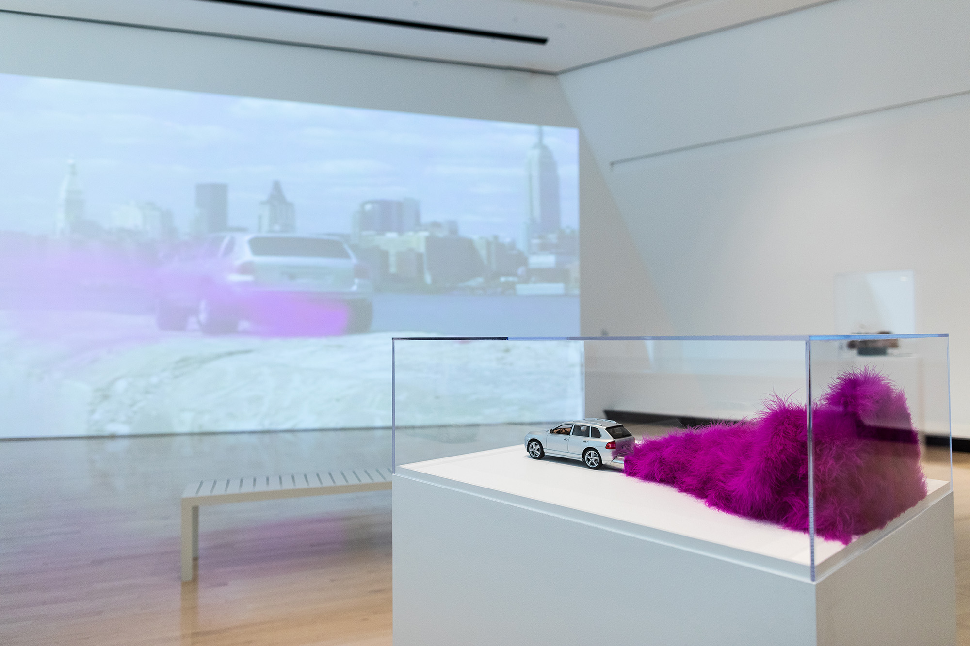 <i>MATTER(S) matter(s): Bridging Research in the Arts and Sciences</i>, installation view at the Eli and Edythe Broad Art Museum at Michigan State University, 2018. Photo: Eat Pomegranate Photography
