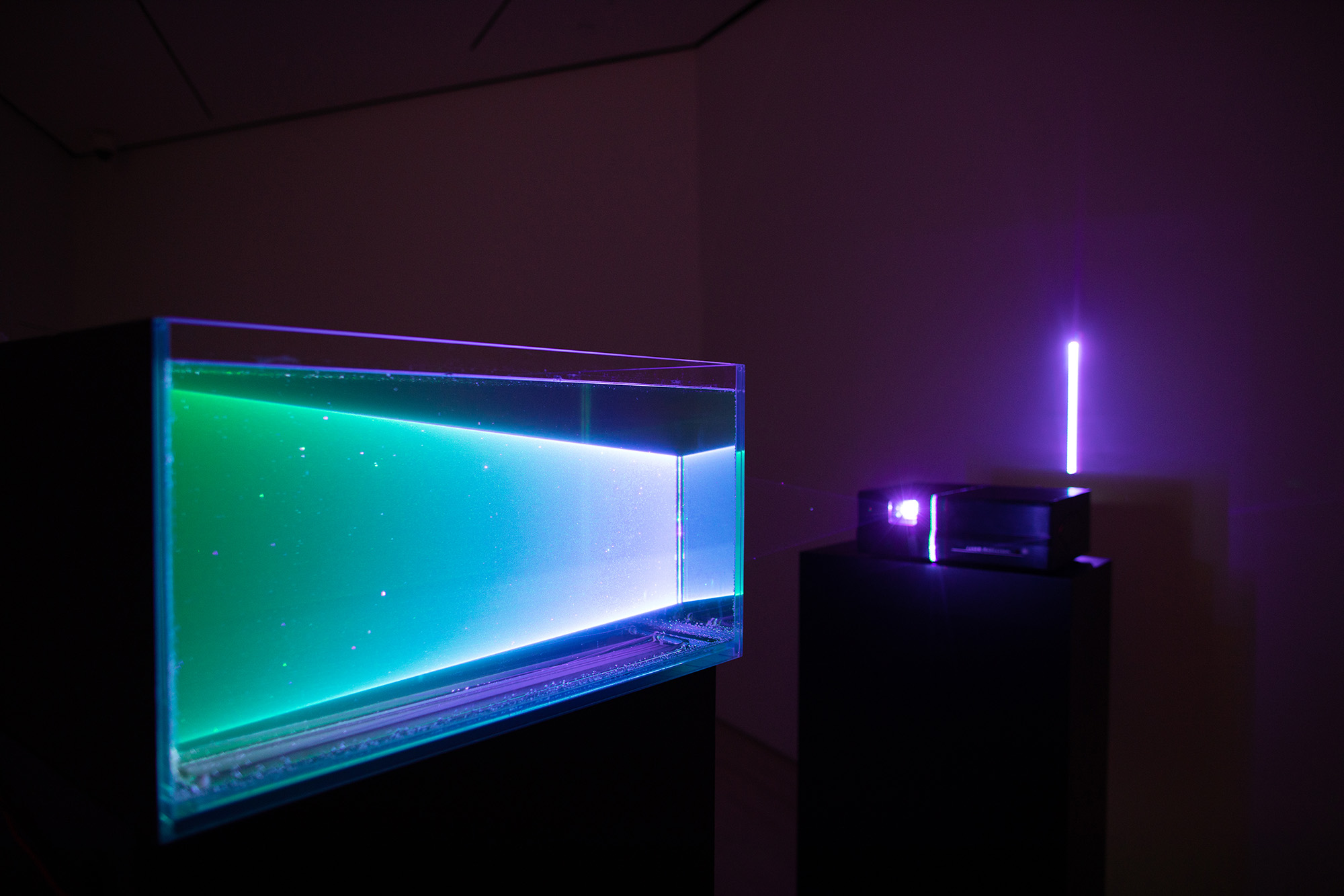 <i>MATTER(S) matter(s): Bridging Research in the Arts and Sciences</i>, installation view at the Eli and Edythe Broad Art Museum at Michigan State University, 2018. Photo: Eat Pomegranate Photography
