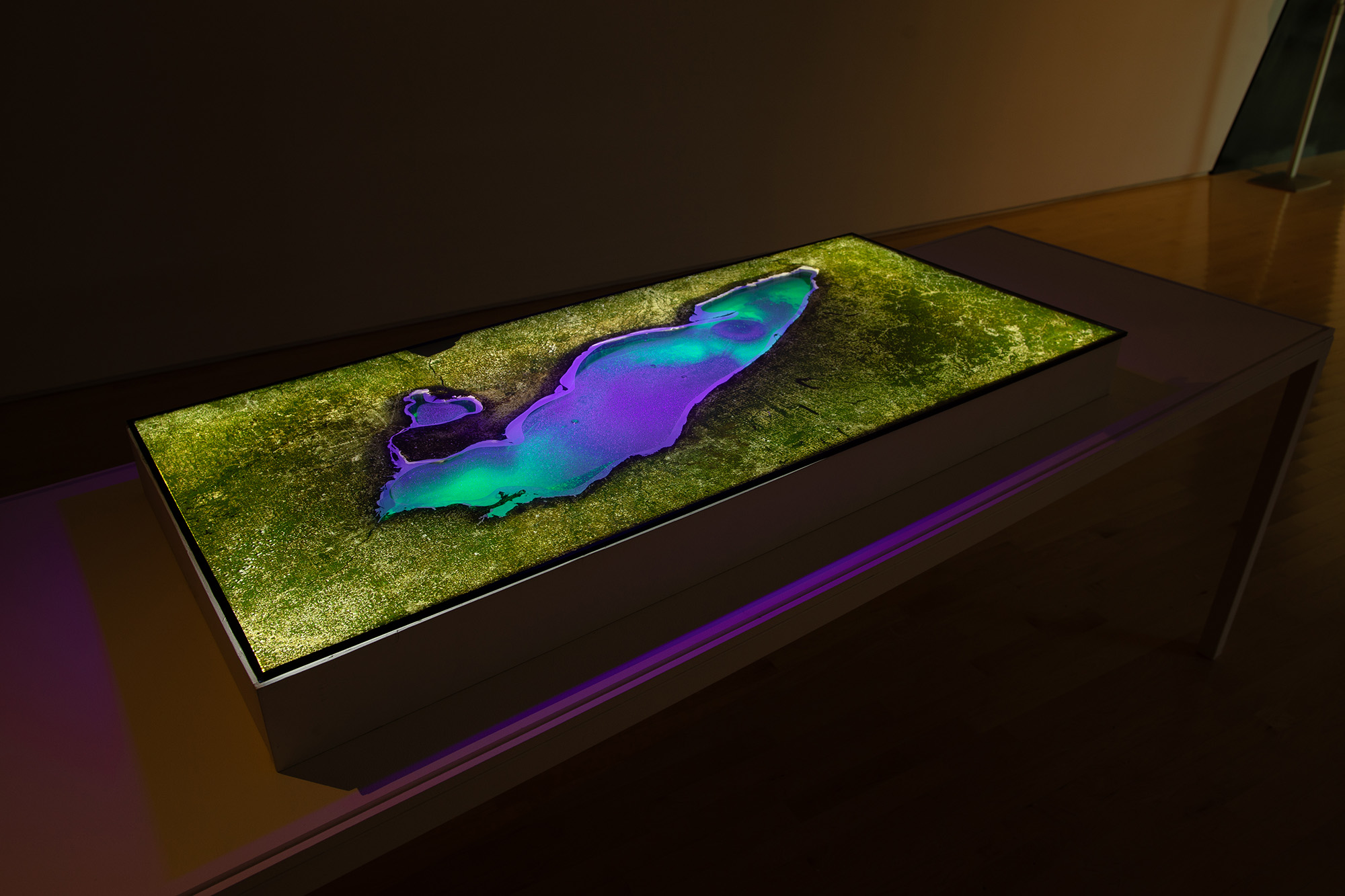 <i>MATTER(S) matter(s): Bridging Research in the Arts and Sciences</i>, installation view at the Eli and Edythe Broad Art Museum at Michigan State University, 2018. Photo: Eat Pomegranate Photography