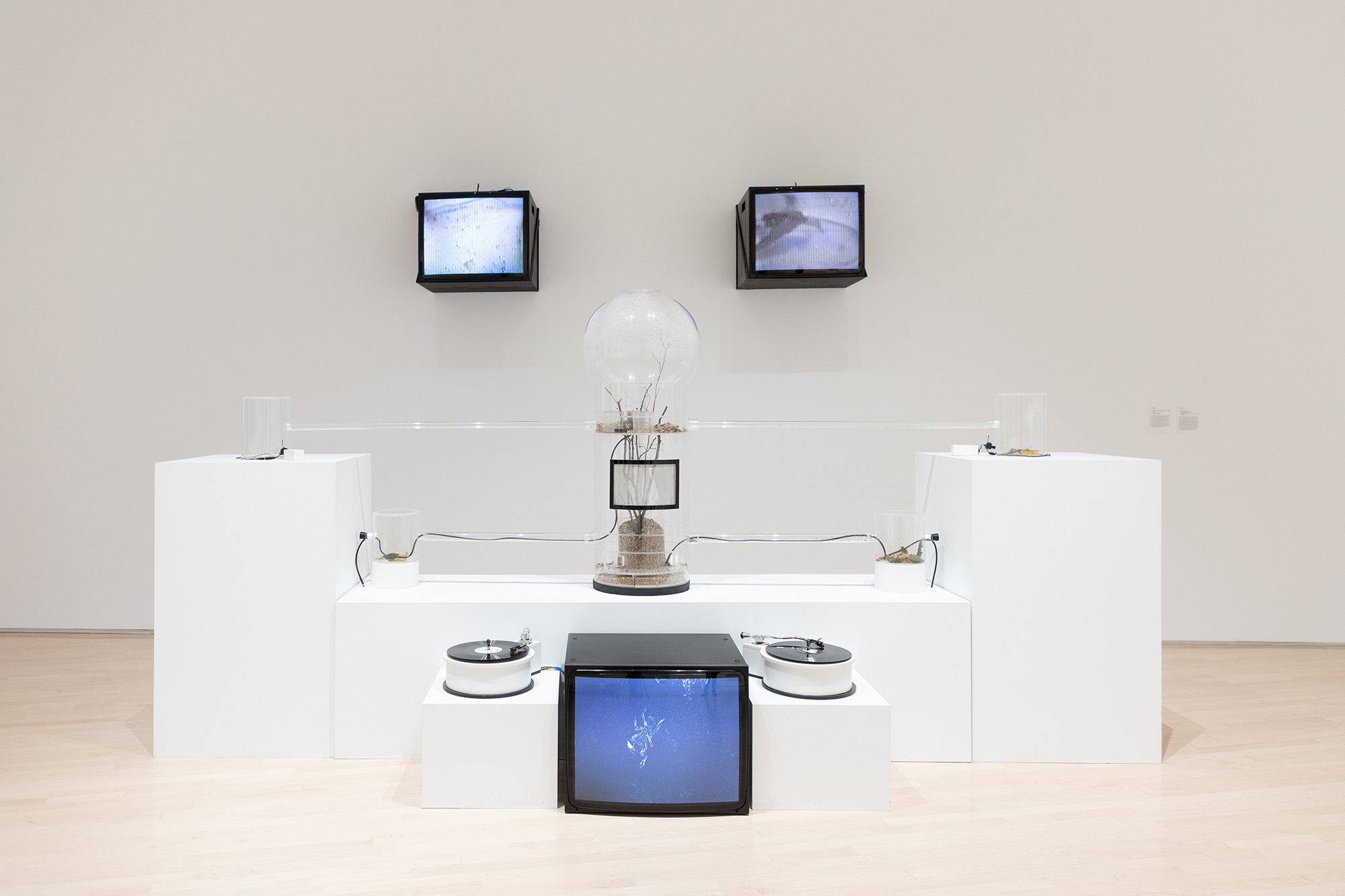 <i>MATTER(S) matter(s): Bridging Research in the Arts and Sciences</i>, installation view at the Eli and Edythe Broad Art Museum at Michigan State University, 2018. Photo: Eat Pomegranate Photography