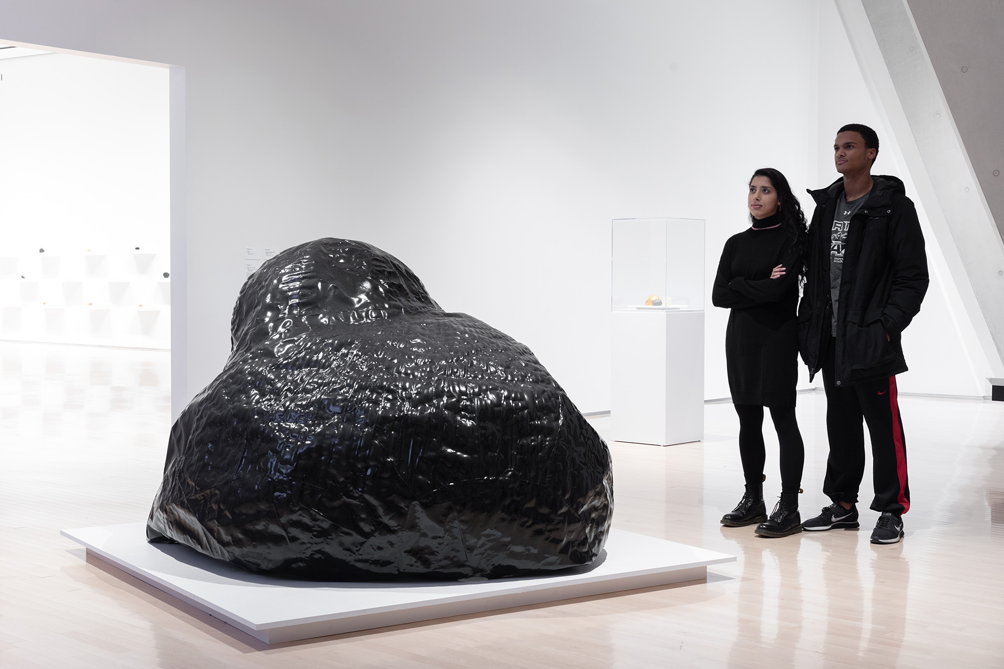 <i>MATTER(S) matter(s): Bridging Research in the Arts and Sciences</i>, installation view at the Eli and Edythe Broad Art Museum at Michigan State University, 2018. Photo: Eat Pomegranate Photography