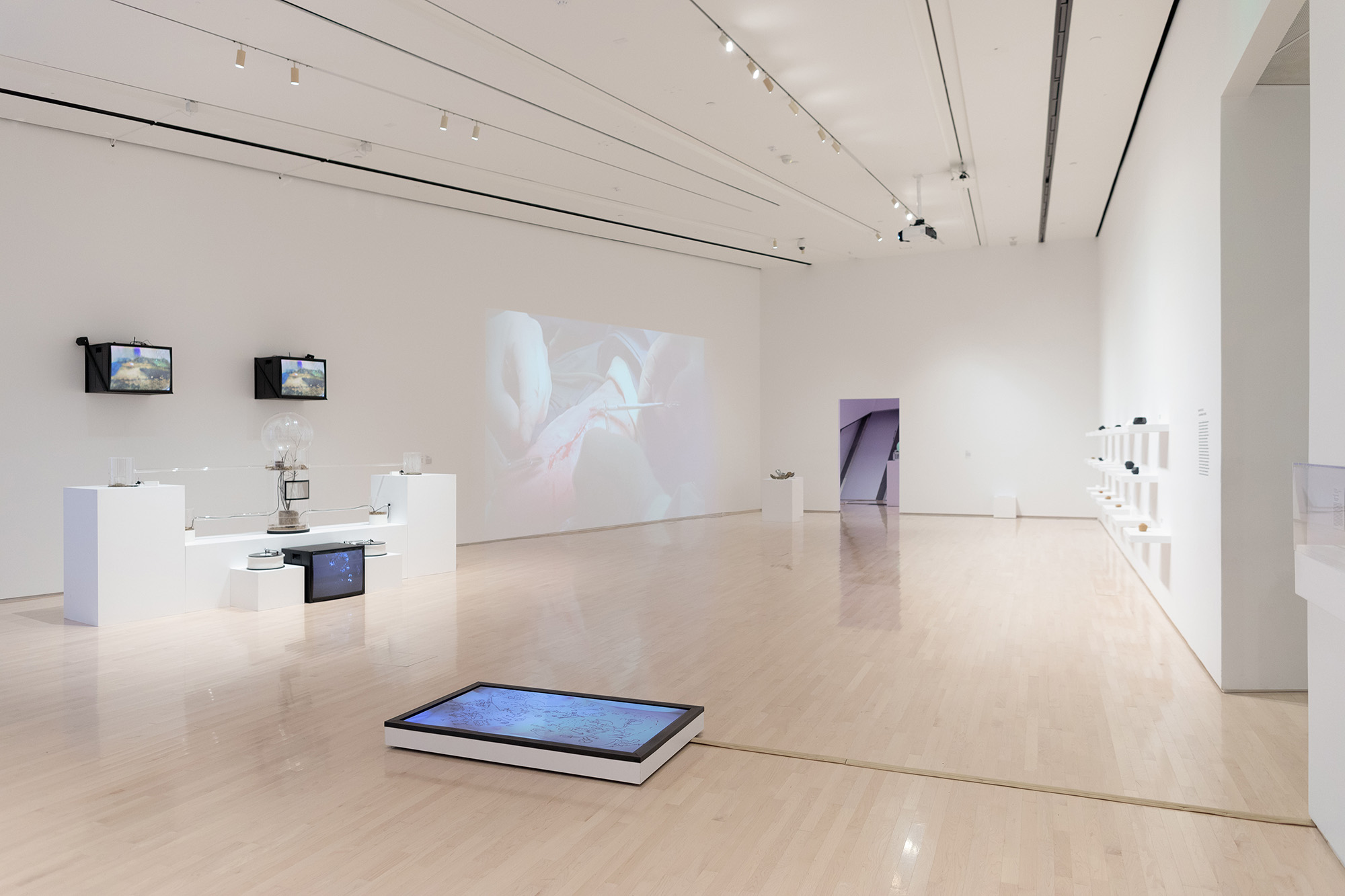 <i>MATTER(S) matter(s): Bridging Research in the Arts and Sciences</i>, installation view at the Eli and Edythe Broad Art Museum at Michigan State University, 2018. Photo: Eat Pomegranate Photography