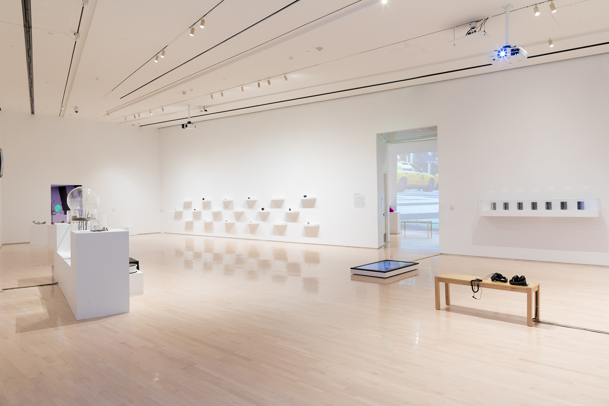 <i>MATTER(S) matter(s): Bridging Research in the Arts and Sciences</i>, installation view at the Eli and Edythe Broad Art Museum at Michigan State University, 2018. Photo: Eat Pomegranate Photography