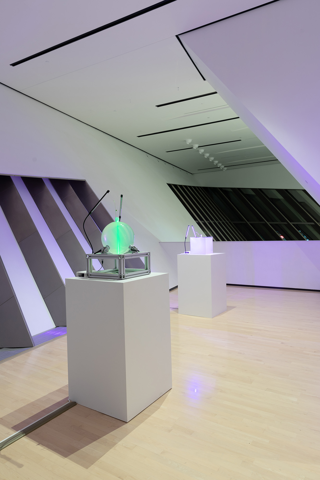 <i>MATTER(S) matter(s): Bridging Research in the Arts and Sciences</i>, installation view at the Eli and Edythe Broad Art Museum at Michigan State University, 2018. Photo: Eat Pomegranate Photography