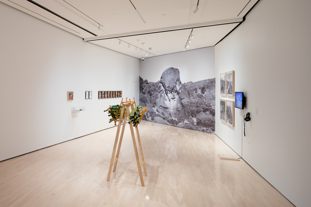<i>Never Spoken Again: Rogue Stories of Science and Collections</i> installation view at the Eli and Edythe Broad Art Museum at Michigan State University, 2020. Photo: Eat Pomegranate Photography.