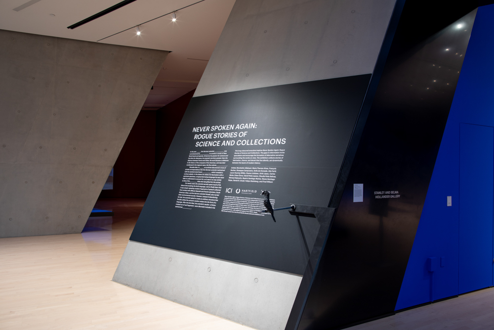 <i>Never Spoken Again: Rogue Stories of Science and Collections</i> installation view at the Eli and Edythe Broad Art Museum at Michigan State University, 2020. Photo: Eat Pomegranate Photography.