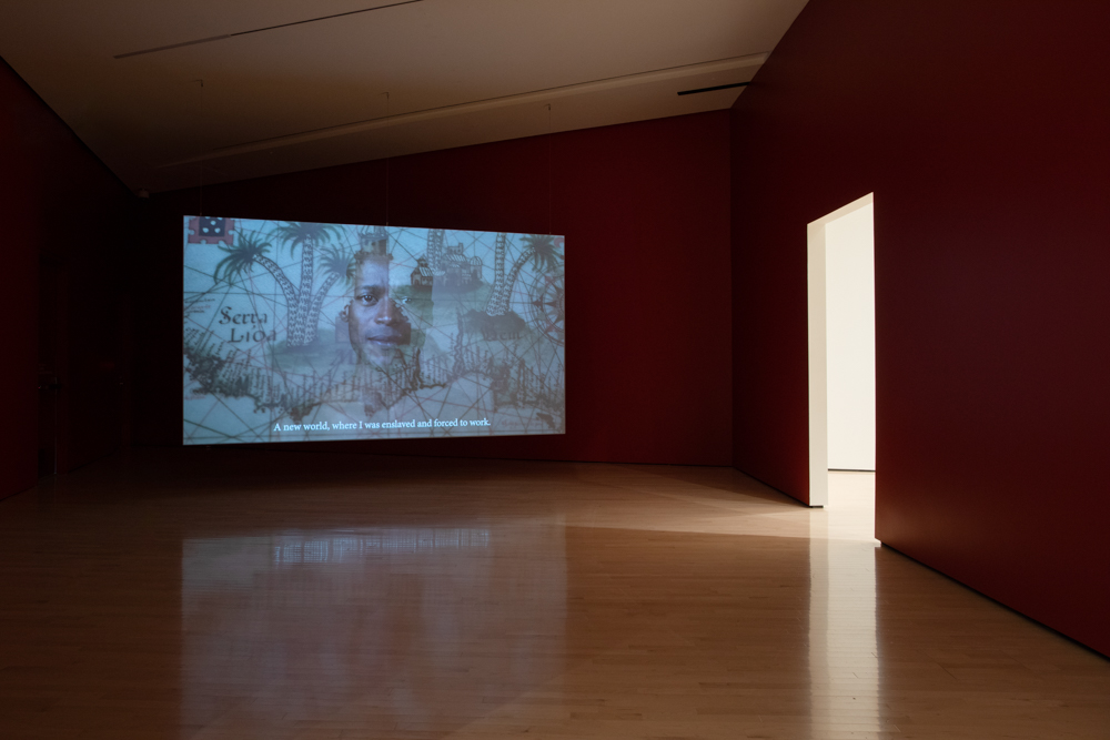 <i>Never Spoken Again: Rogue Stories of Science and Collections</i> installation view at the Eli and Edythe Broad Art Museum at Michigan State University, 2020. Photo: Eat Pomegranate Photography.