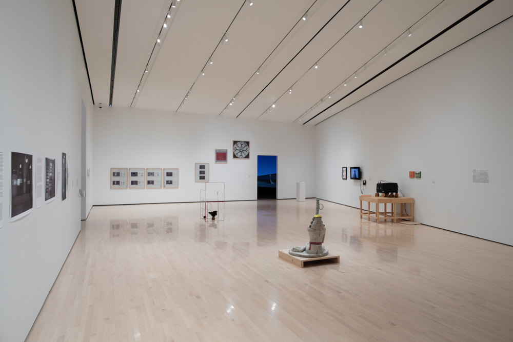 <i>Never Spoken Again: Rogue Stories of Science and Collections</i> installation view at the Eli and Edythe Broad Art Museum at Michigan State University, 2020. Photo: Eat Pomegranate Photography.