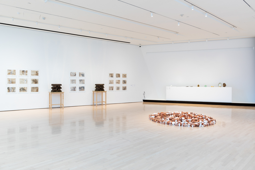 <i>Seeds of Resistance</i> installation view at the Eli and Edythe Broad Art Museum at Michigan State University, 2021. Photo: Eat Pomegranate Photography.