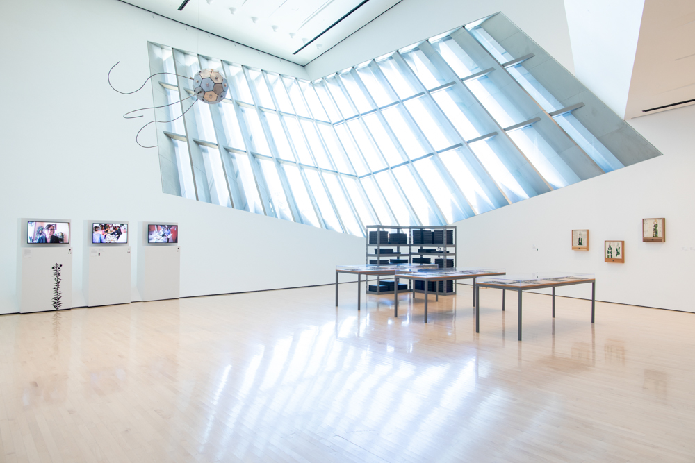 <i>Seeds of Resistance</i> installation view at the Eli and Edythe Broad Art Museum at Michigan State University, 2021. Photo: Eat Pomegranate Photography.