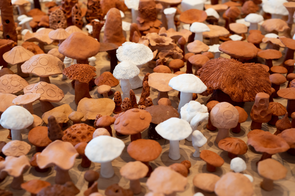 <i>Seeds of Resistance</i> installation view at the Eli and Edythe Broad Art Museum at Michigan State University, 2021. Photo: Eat Pomegranate Photography.