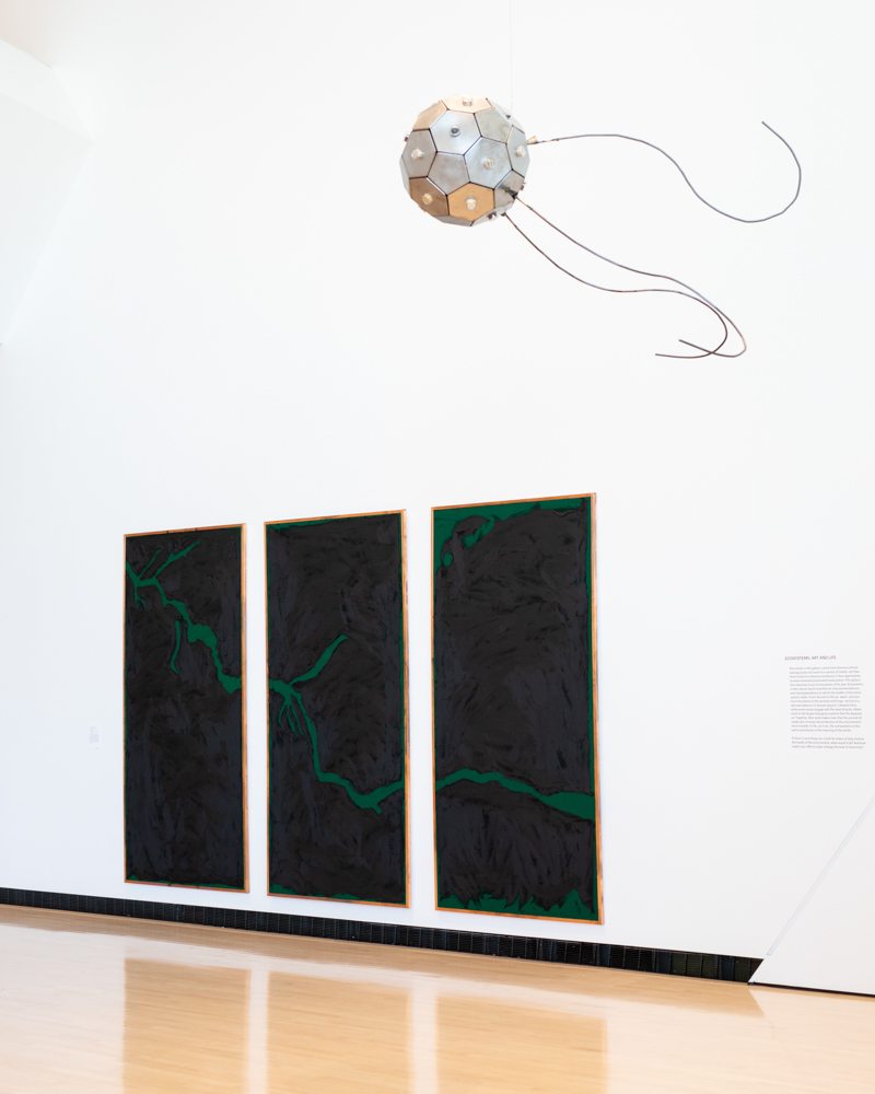 <i>Seeds of Resistance</i> installation view at the Eli and Edythe Broad Art Museum at Michigan State University, 2021. Photo: Eat Pomegranate Photography.