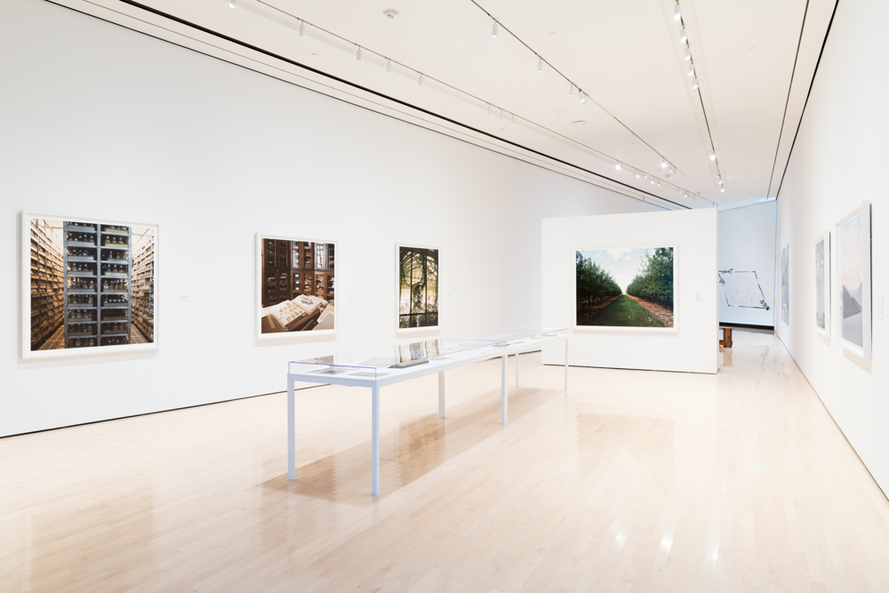<i>Seeds of Resistance</i> installation view at the Eli and Edythe Broad Art Museum at Michigan State University, 2021. Photo: Eat Pomegranate Photography.
