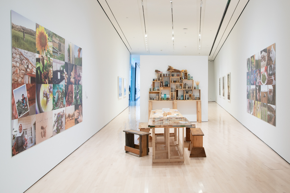 <i>Seeds of Resistance</i> installation view at the Eli and Edythe Broad Art Museum at Michigan State University, 2021. Photo: Eat Pomegranate Photography.
