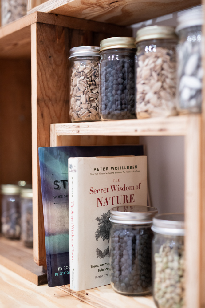 <i>Seeds of Resistance</i> installation view at the Eli and Edythe Broad Art Museum at Michigan State University, 2021. Photo: Eat Pomegranate Photography.