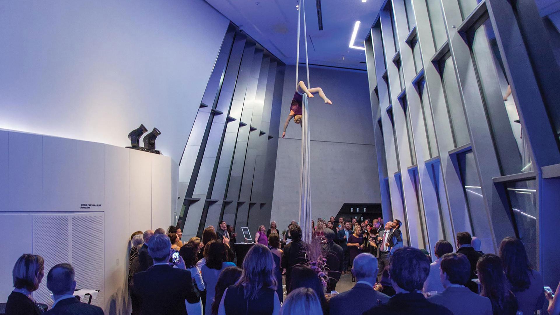 Crowd watching an aerialist perform